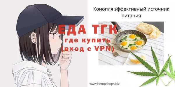 тгк Дмитриев