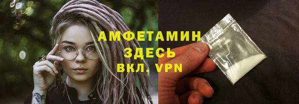 тгк Дмитриев