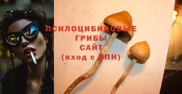 тгк Дмитриев