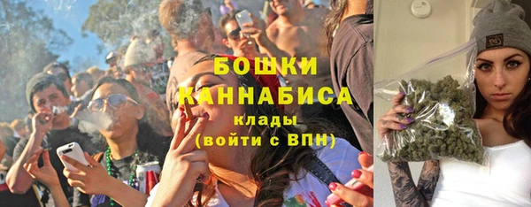 тгк Дмитриев