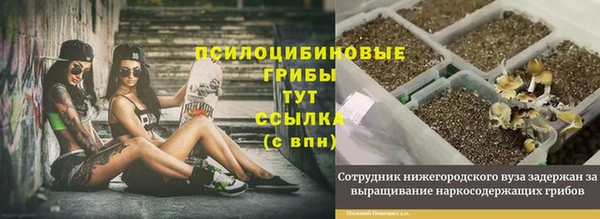 бошки Яровое