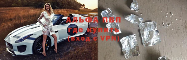 тгк Дмитриев