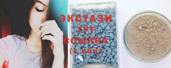 тгк Дмитриев